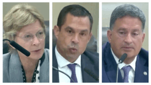 Coral Gables: Melissa Castro shut down again on election change challengePolitical Cortadito