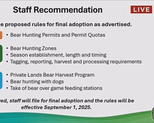State commissioners reopen Florida black bear hunt seasonWPLG