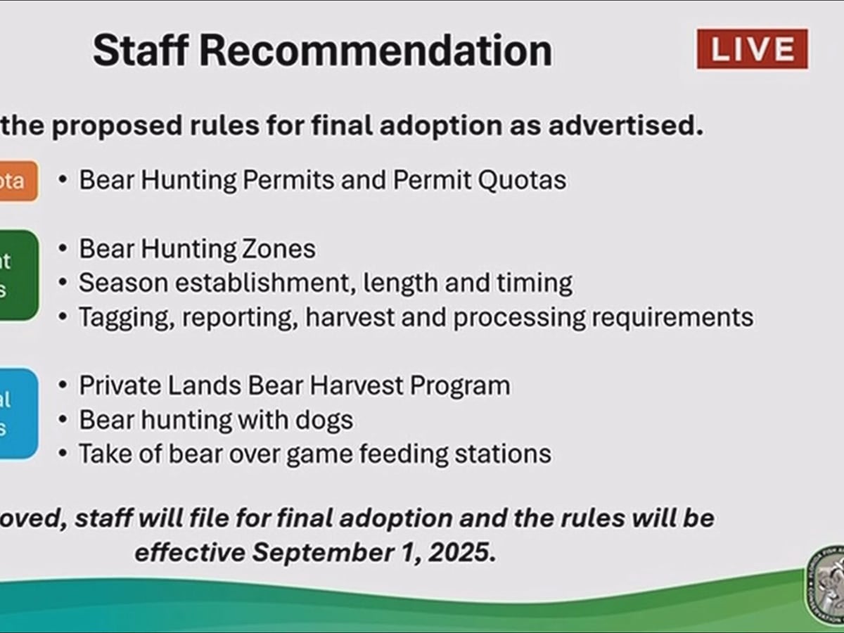 State commissioners reopen Florida black bear hunt seasonWPLG