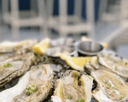 Coral Gables’ First Rooftop Bar Reopens With Raw Bar, TapasMiami New Times | The Leading Independent News Source in Miami, Florida, Miami New Times